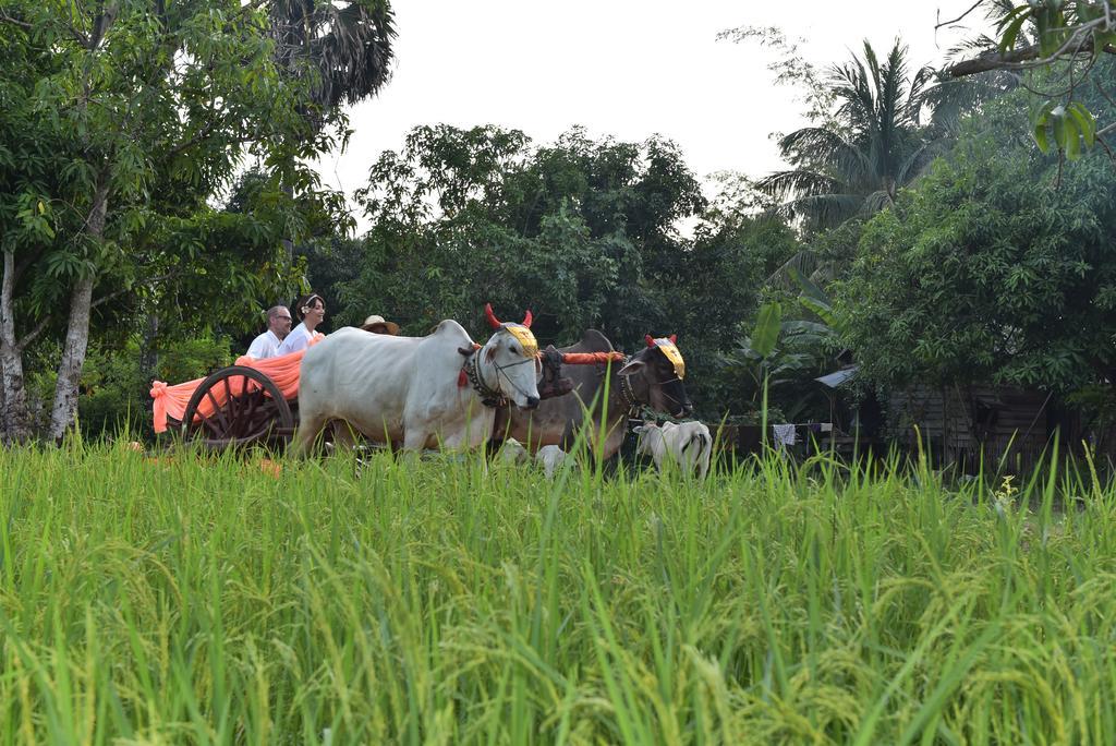 Angkor Rural Boutique Resort Siem Reap Exteriér fotografie