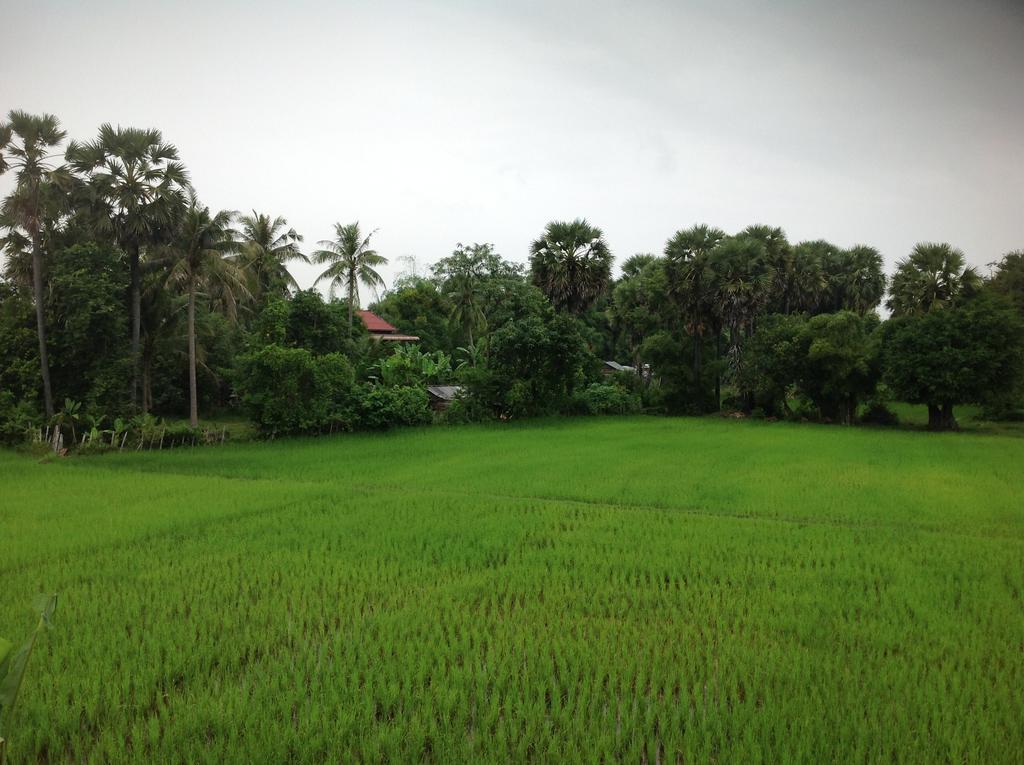 Angkor Rural Boutique Resort Siem Reap Exteriér fotografie