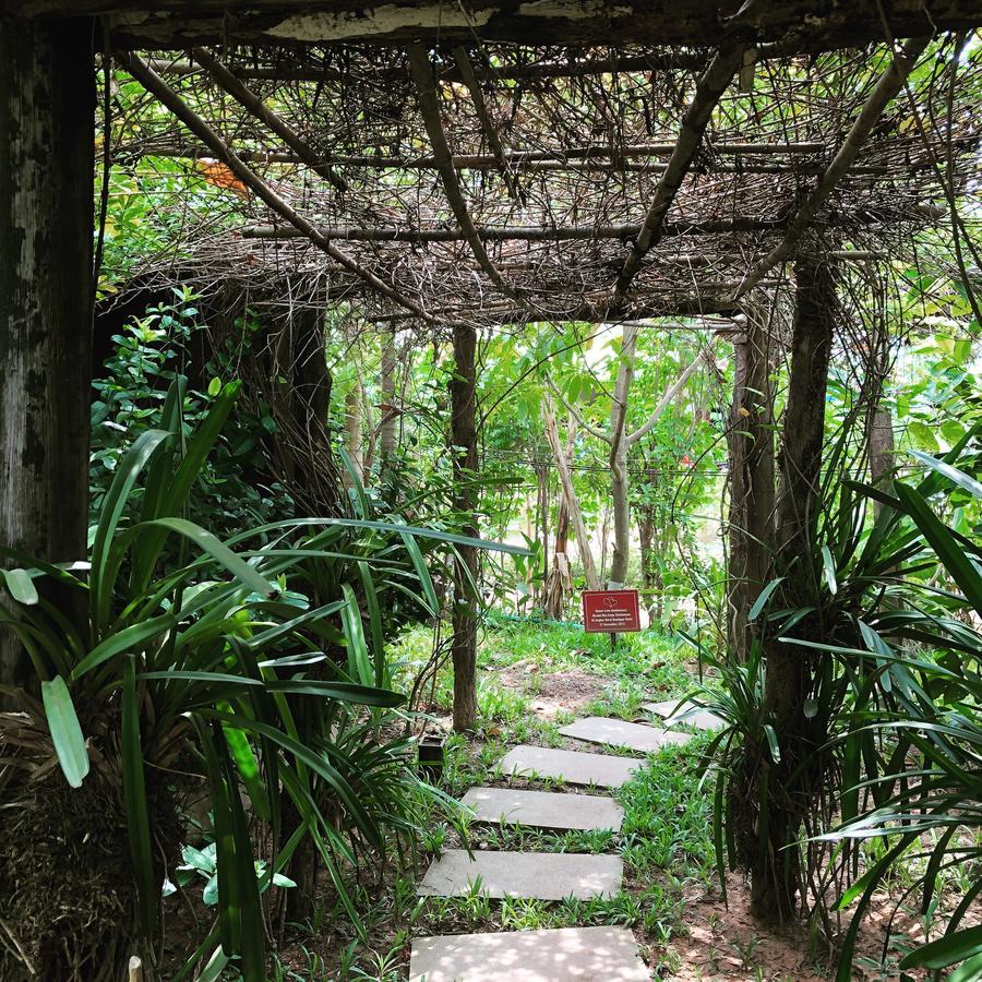 Angkor Rural Boutique Resort Siem Reap Exteriér fotografie